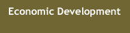 Economic Development
